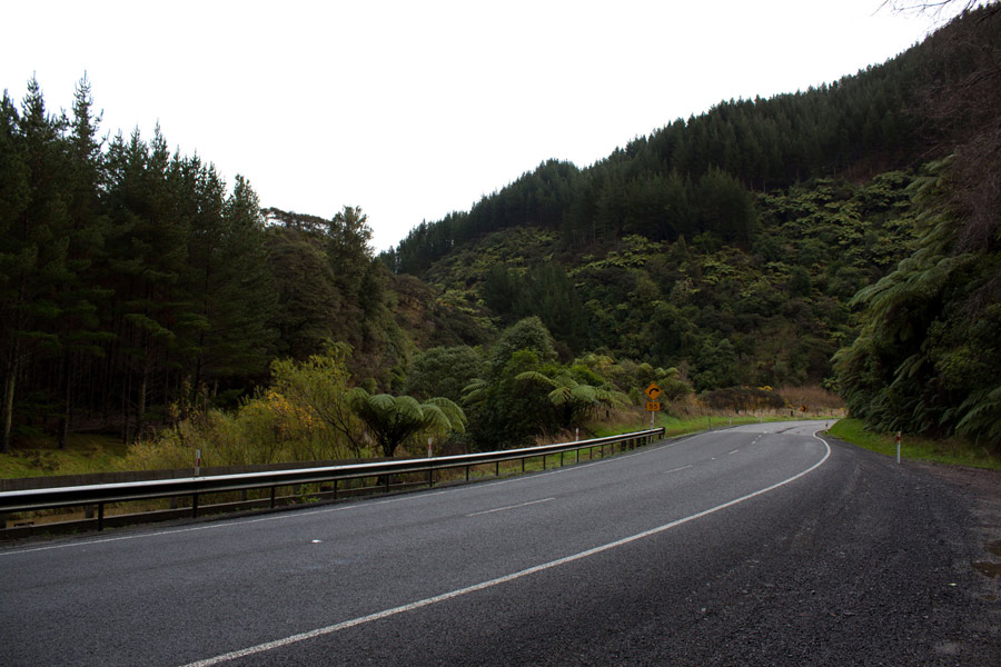 Road_to_newplymouth_01