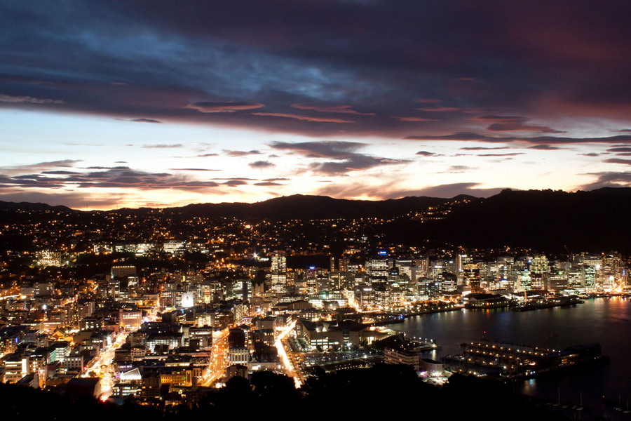 Wellington_city01